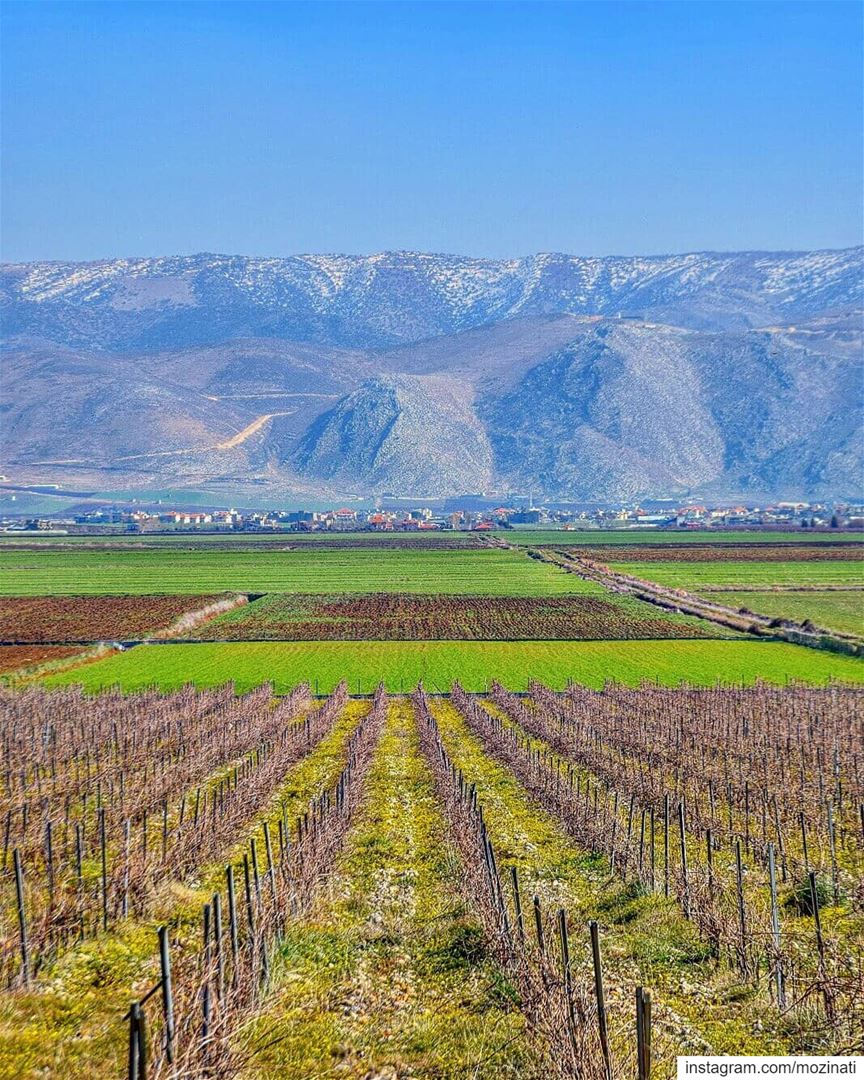 Spring is when life's alive in everything 💕💕======================= ... (West Bekaa)