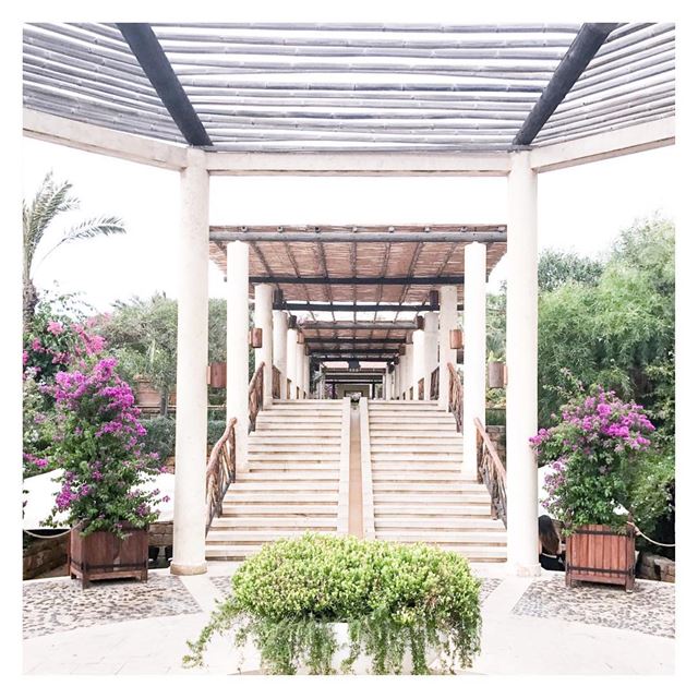 Stairway to heaven 🌺 (Edde Sands - Byblos)