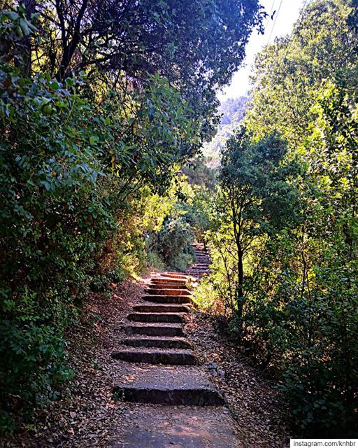 Stairway to  heaven hiking  livelovelebanon  hikingtrail  mountain ...