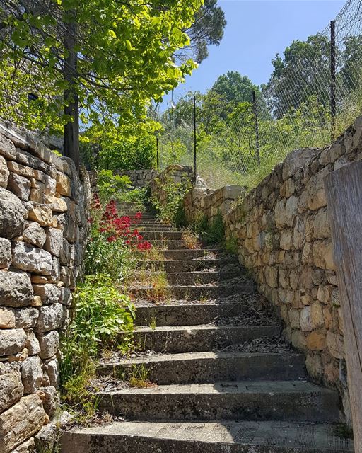 Stairwell to heaven (part 2) 💚 ......... Lebanon  beiteddine ... (Beit Ed Din, Mont-Liban, Lebanon)