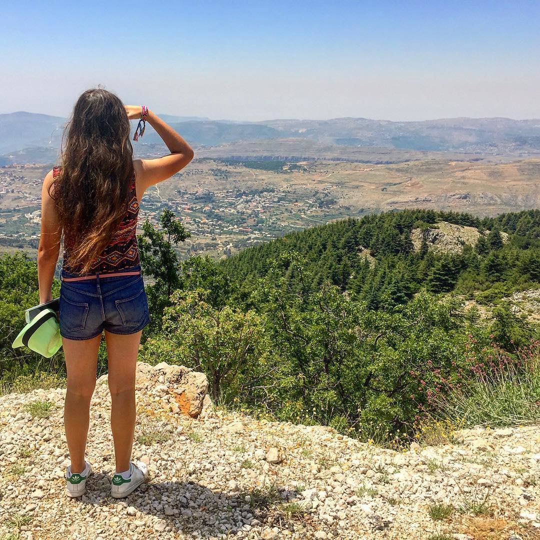 Stand still and admire the beauty of a country that never gives up💚 @yasmi (Arz el Chouf)