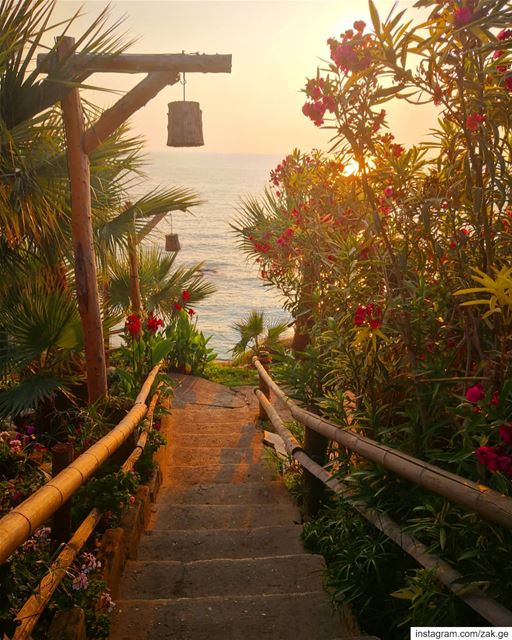 Stare away to sea the sunset.  sun  lebanon  leb  sea  seaside  stairaway ... (Batroûn)