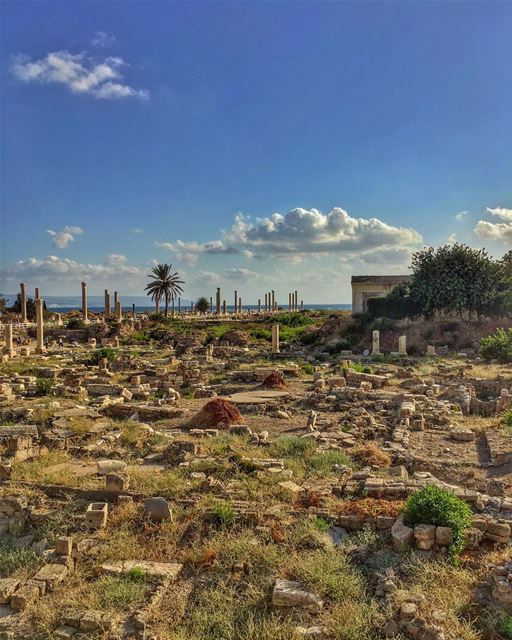 Staring at the world, coloured by jaded eyes....... nature historicalcity ... (Tyre, Lebanon)