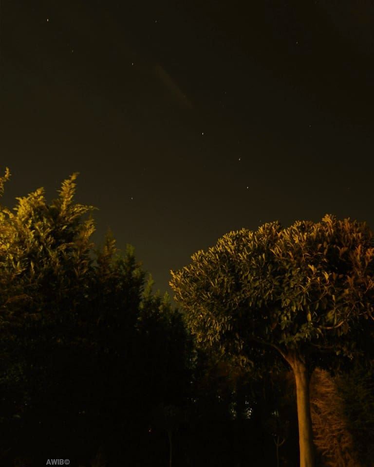  stars  tree  night  photo  picture  awandererinbeirut  sky  nightscape ...