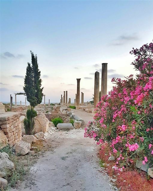 Stepping into this ancient Roman city on the sea side of Tyre literally... (Tyre, Lebanon)