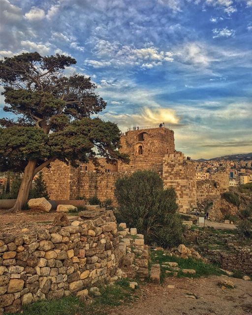 Strained by overgrown dreamsRooted in disillusionmentBut in the hour... (Byblos, Lebanon)
