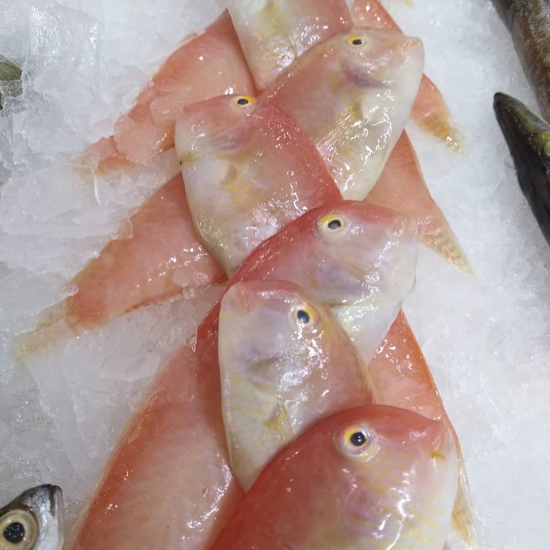 @sultanalbahrlb -  Fresh 🐟 delicious 🐟 seafood 🐟  shells  fish  salmon ... (Sultan Al BAHR)