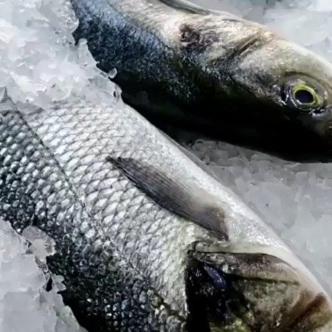 @sultanalbahrlb -  No comment 😍  daleellebnen  loobnan  seafood   sea ... (Sultan Al BAHR)