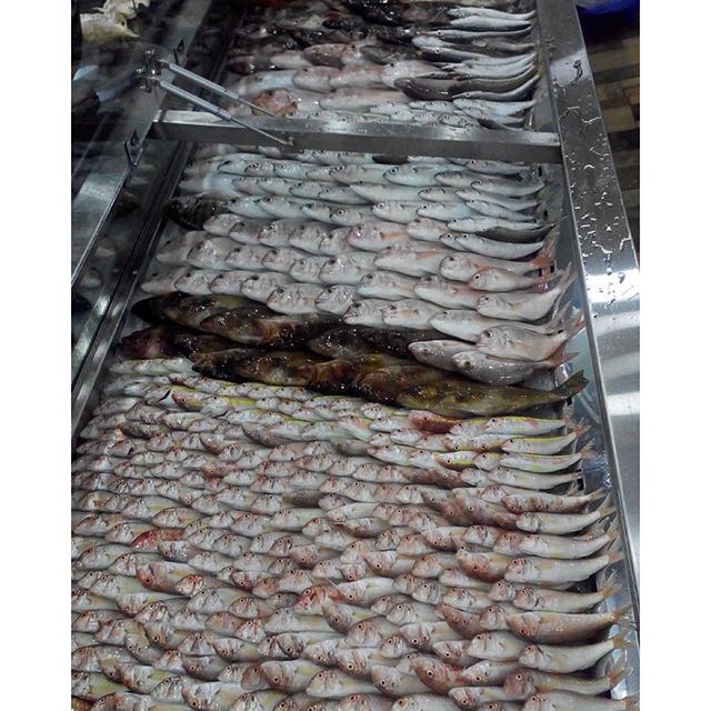 Summer days mean summer meals and that my friends mean fresh fish... (Ain El Tefeha)