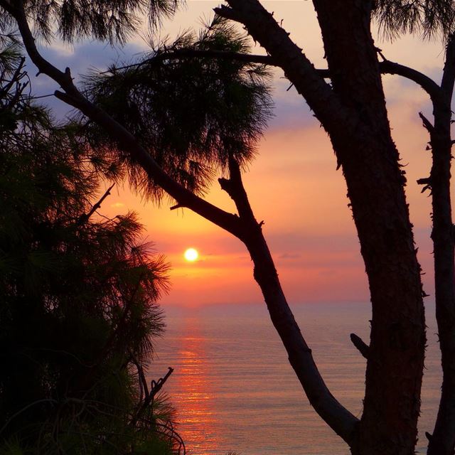Summer dream...🌅.. kaslik  seaside  reflection  sunset_pics  mystery ... (Kaslik)