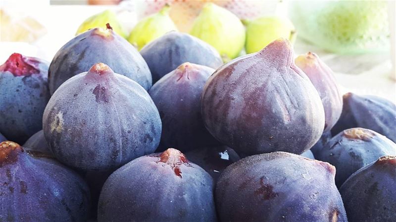  summer  fruits  lebanon  lebanese  figs  delicious  faraya ...