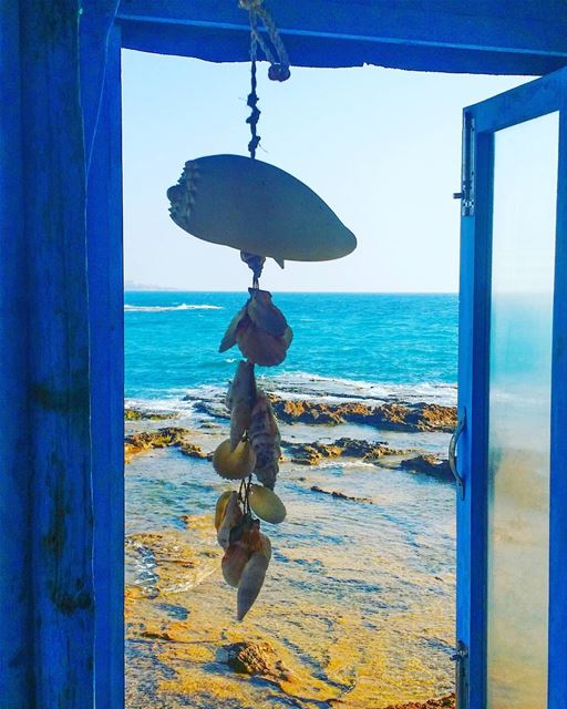  summer  vibes  blue  window  seashells  potd  instamood  instacool ... (Chez Maguy)