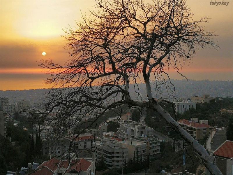 Sunday: A day to refuel your soul and be grateful  for your blessings... == (Baabda District)