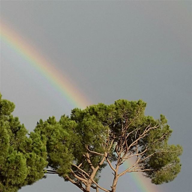  sunday  morning  rainbow  lebanon  sky  colors  instapic  instagood ...