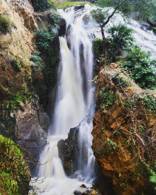  sunday roadtrip trip north lebanon water waterfall mud nature trees... (3youn el Samak)