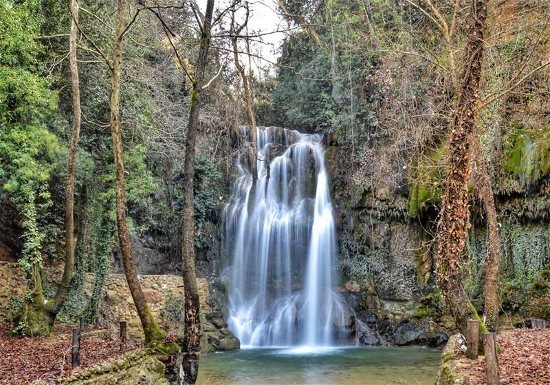  sunday trip waterfall nature river green forest trees longexposure nikon... (Baakline, Mont-Liban, Lebanon)