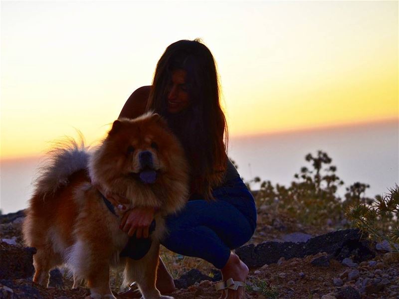 🤗🐶❤....... sunset  fluffy  dog  walk  lebanon  summer  outdoor ... (Zaarour Club)