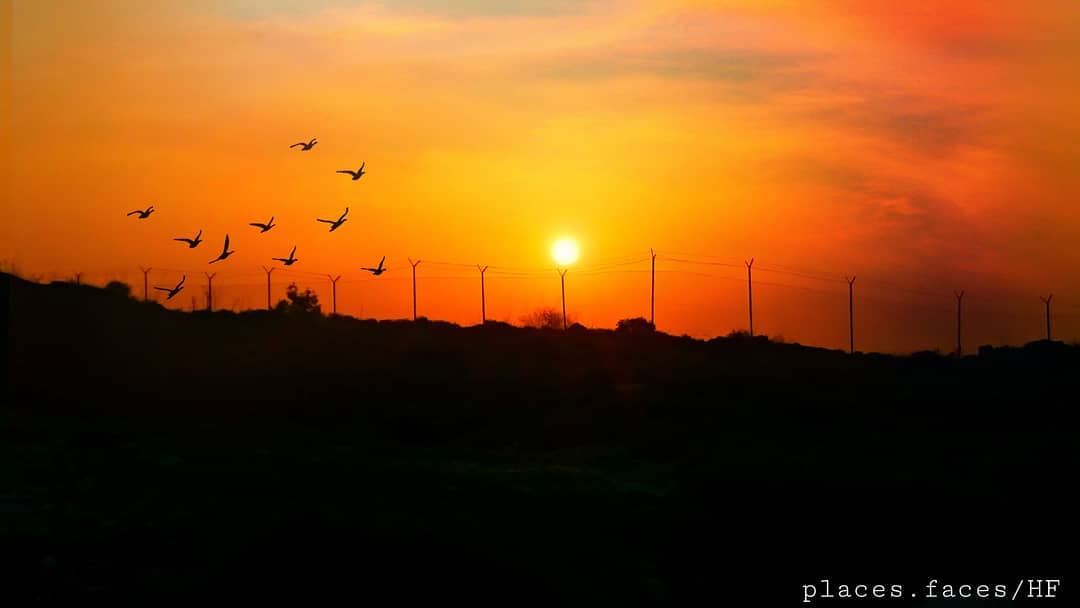 Sunset 🌄  Photographed by @hussein.fwz frEDITS  artgaleri ,  turtles, ... (Khartum, Al Janub, Lebanon)