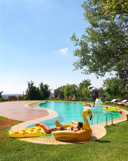  Swan  pool 💧 (Domaine beit Romanos)