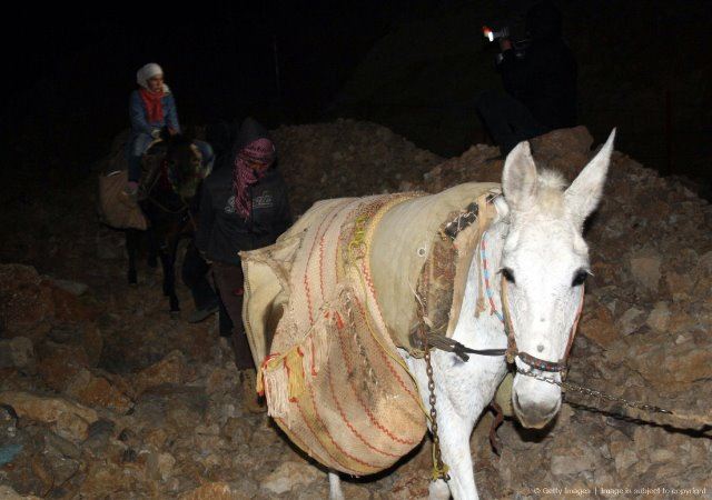 Syrian Refugees Arriving on a Donkey