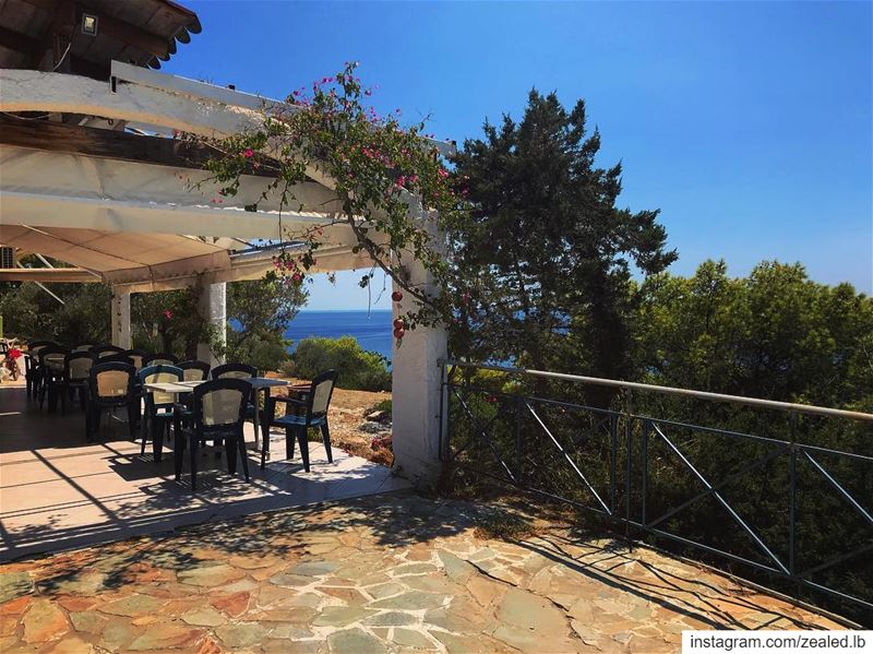Take me back to this island 🌴 ✨... aegina  greece  view  travel ... (Aegina, Greece)