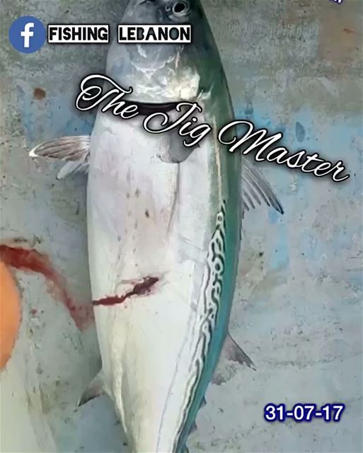 Tarek Abadan "The Jig Master"  fishinglebanon  tripolilb  beirut  byblos ... (Beirut, Lebanon)