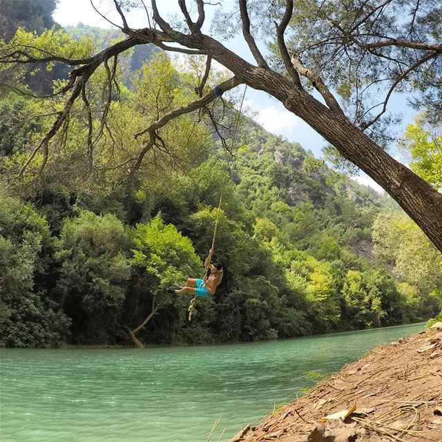 Tarzan Who ? 🐒 (Chouène, Mont-Liban, Lebanon)