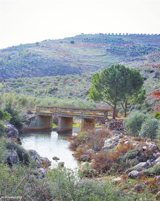  tb  hasbayya  nature  river  bridge  water  southlebanon  ... (Hasbaya)