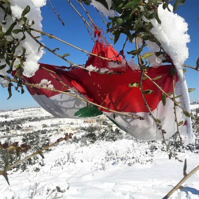  tb  missing  snowdays  snowcomingsoon kobayat  akkar  1yearago ... (Al Qubayyat, Liban-Nord, Lebanon)