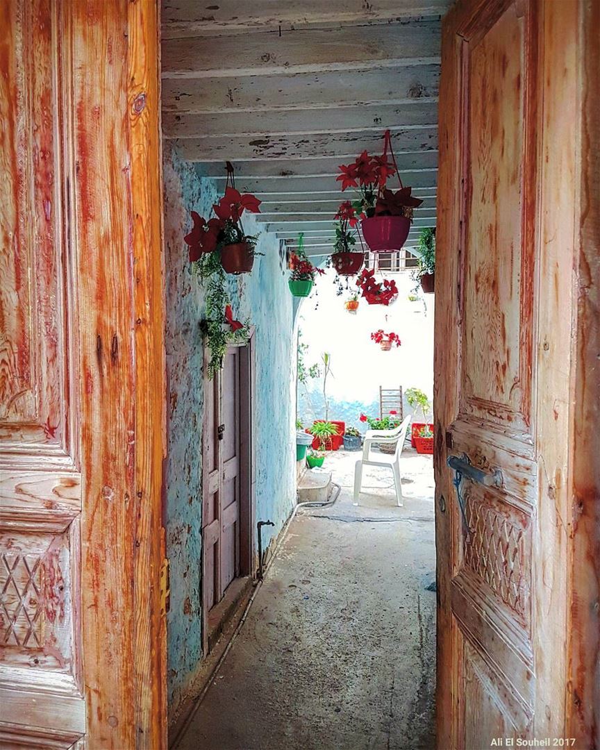  tb  old  door  sour  southlebanon  antique  flowers  texture  colorful ... (Soûr, Al Janub, Lebanon)