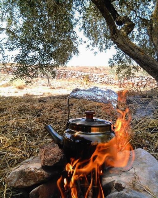 TeaTime. . hiking  picnic  marounelras  lebanon  naturelovers  ... (Maroun El Ras)