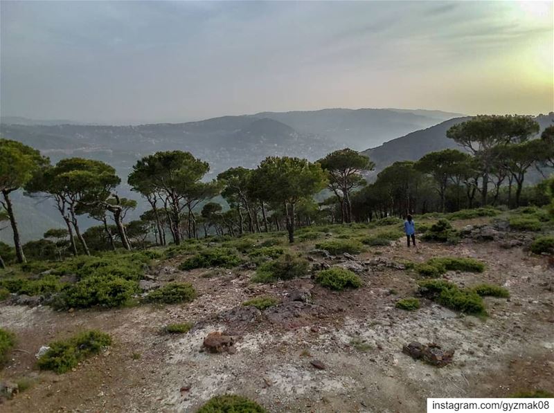 That moment when you feel so tiny in an imperial landscape. ....... (Mount Lebanon Governorate)
