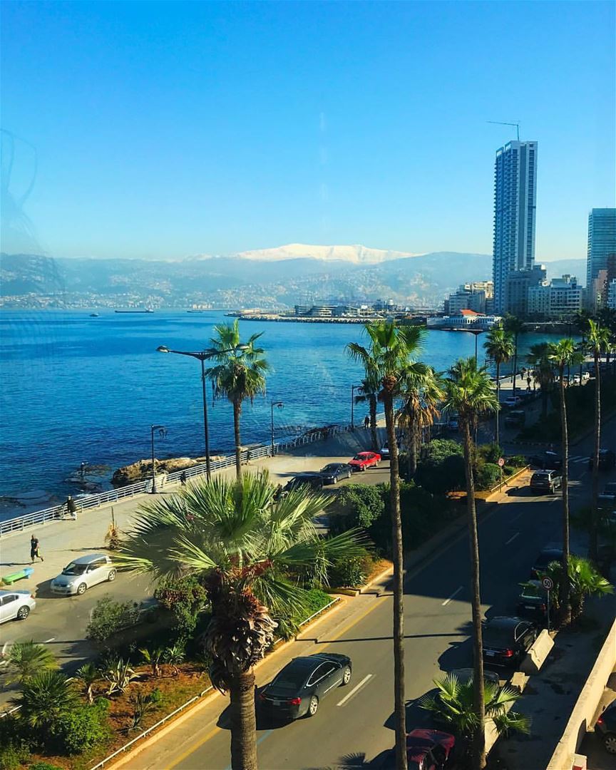 That perfect January weather. New Yorkers, come here.By @cyoumna ... (American University of Beirut (AUB))