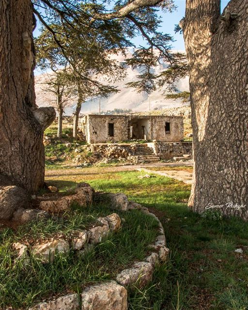 The Abandoned house between the Cedars...Al Arz - Bcharre, Lebanon......