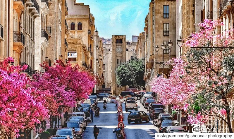 The Beautiful Allenby Street_____🔴⚪⚪🌲⚪⚪🔴_____ gshoucairphotography ... (Beirut, Lebanon)