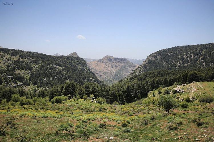 The beautiful reserve of Tannourine 🌲 a7labaladbil3alam  photo  love ... (Arz Tannoûrîne)