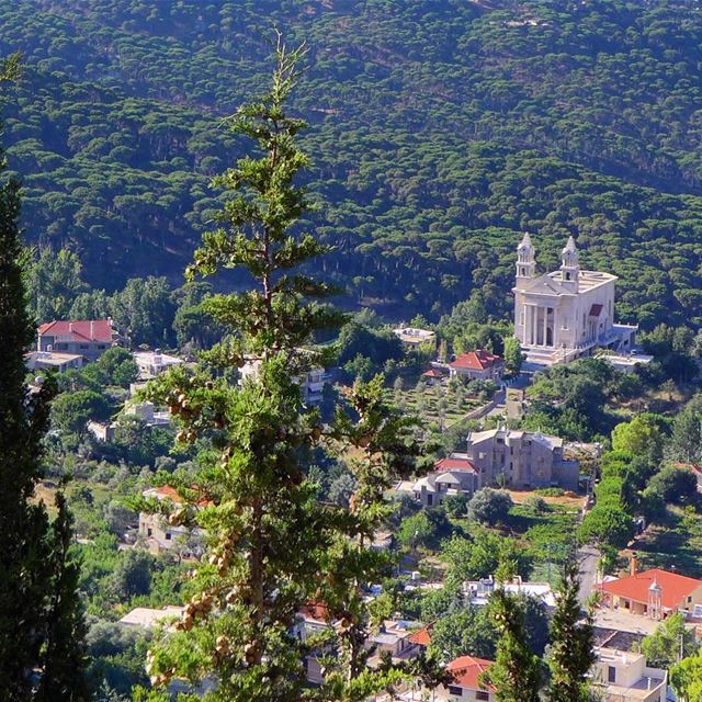 The beauty of pine trees' valley of Bkassine, the largest in the middle... (Jezzîne, Al Janub, Lebanon)