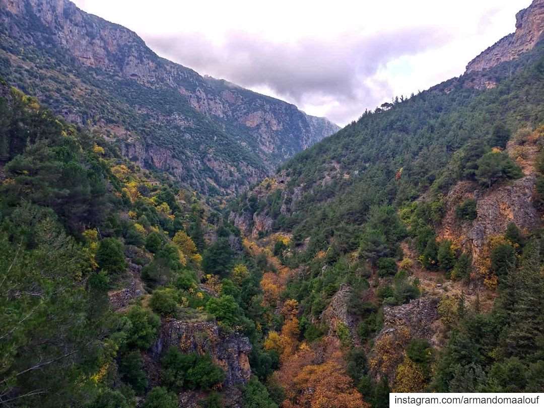 The beauty of the Sacred Valley in autumn colors 🍂..... lebanon ... (قنوبين ، وادي القديسين)