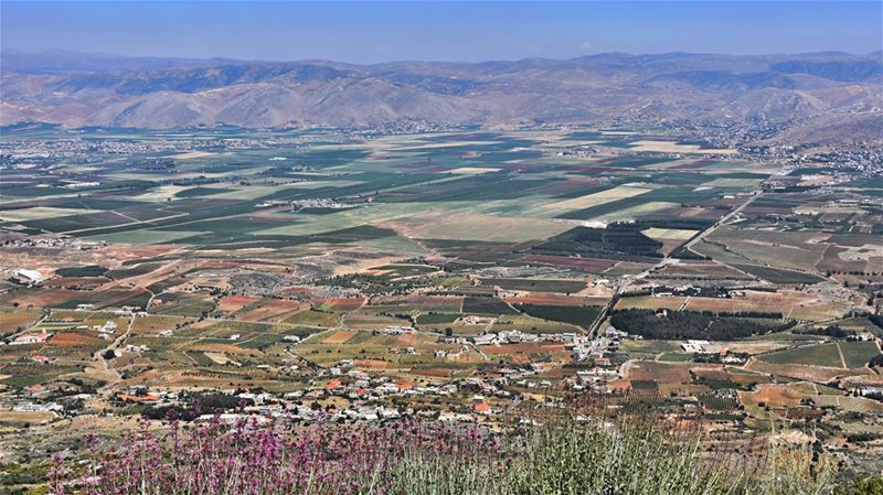 The Bekaa Valley Patchwork Quilt--------------------------------- nature... (Bekaa Valley Lebanon)
