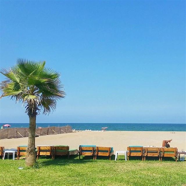 The best kind of therapy is beach therapy 🌴🌊😎  livelovebeirut ... (Praia)