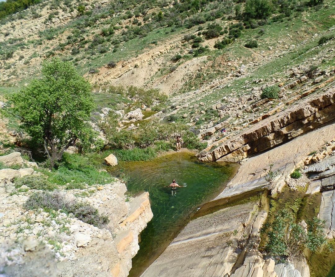 The Best Natural Swimming Pool Ever 🌳🏊🏻🍃💚About Yesterday, The LMT... (Niha Al Chouf)