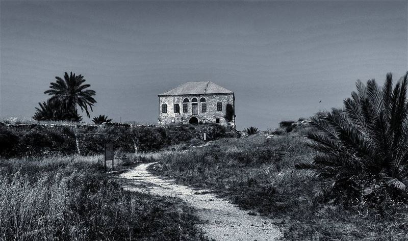The cabin in the middle of nowhere.  byblos  Lebanon  house  abandoned ... (Byblos, Lebanon)