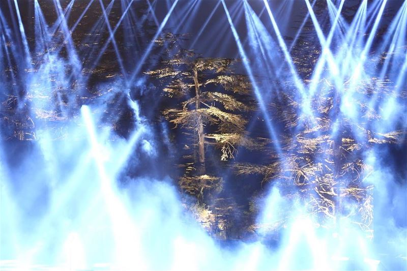 The cedars of TANNOURINE !!! lebanon  tannourinefestival ... (Tannourine Cedars Nights ليالي أرز تنورين)