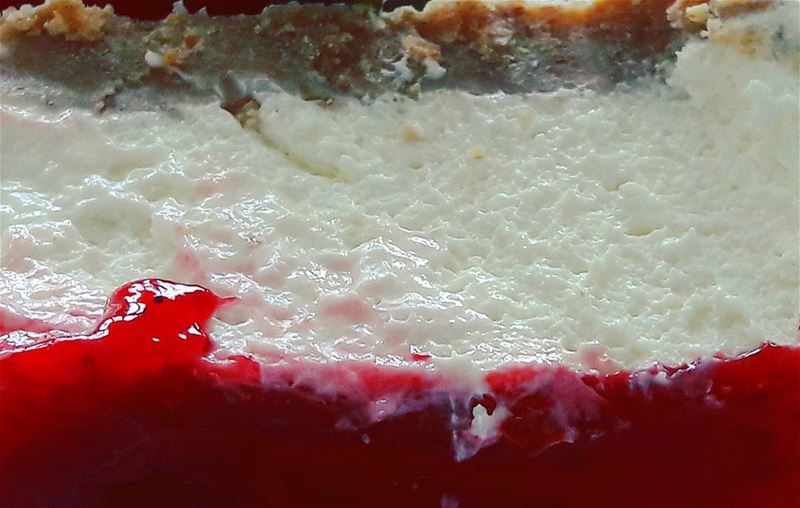 The cheesecake ❤❤❤ Lebanon  Lebanese  delights  Cheesecake  sweets  food... (Batroûn)