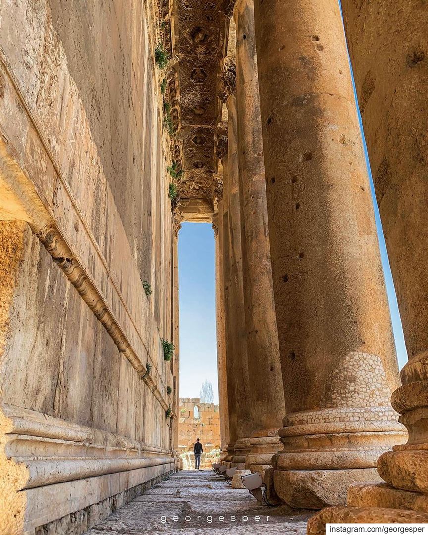 The Colossal Columns embracing the Temple of Bacchus • Baalbek Lebanon 🇱🇧 (Baalbeck, Béqaa, Lebanon)