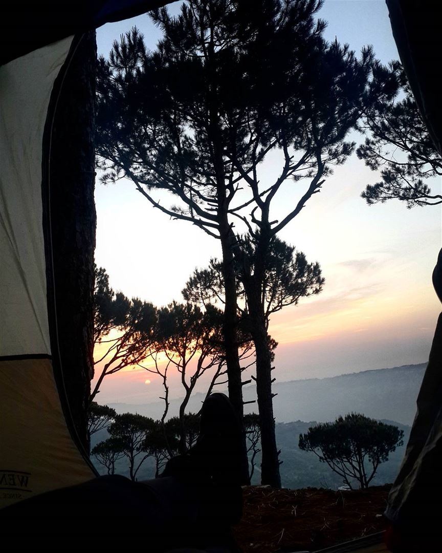 The  forest is calling and i must be  camping  nature_beauty  lebanon ...