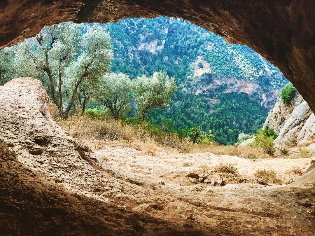 The forth cave! Another view to the valley, the olive trees is a sign of...