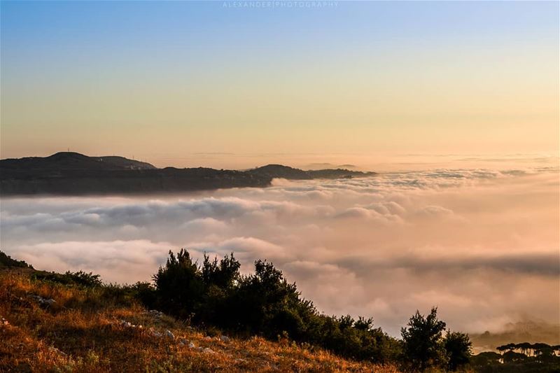 The Golden Hour | Falougha Mountains and a carpet of clouds covering the... (Falougha, Mont-Liban, Lebanon)