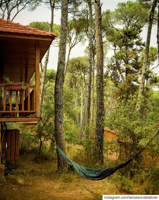 The hammock season is here again! ☀️ Now you can spend hours hanging in...