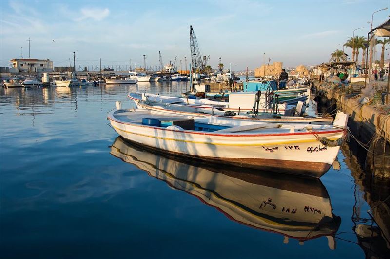 The harbour...  saida  lebanon  reflection  oldport  fishingboat ...